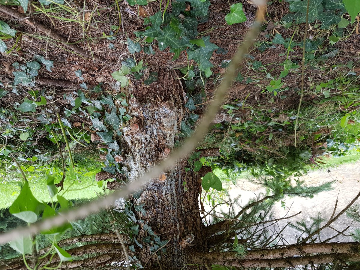 20190820_173740.jpg