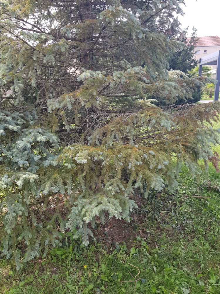 20190821_163252_resized.jpg