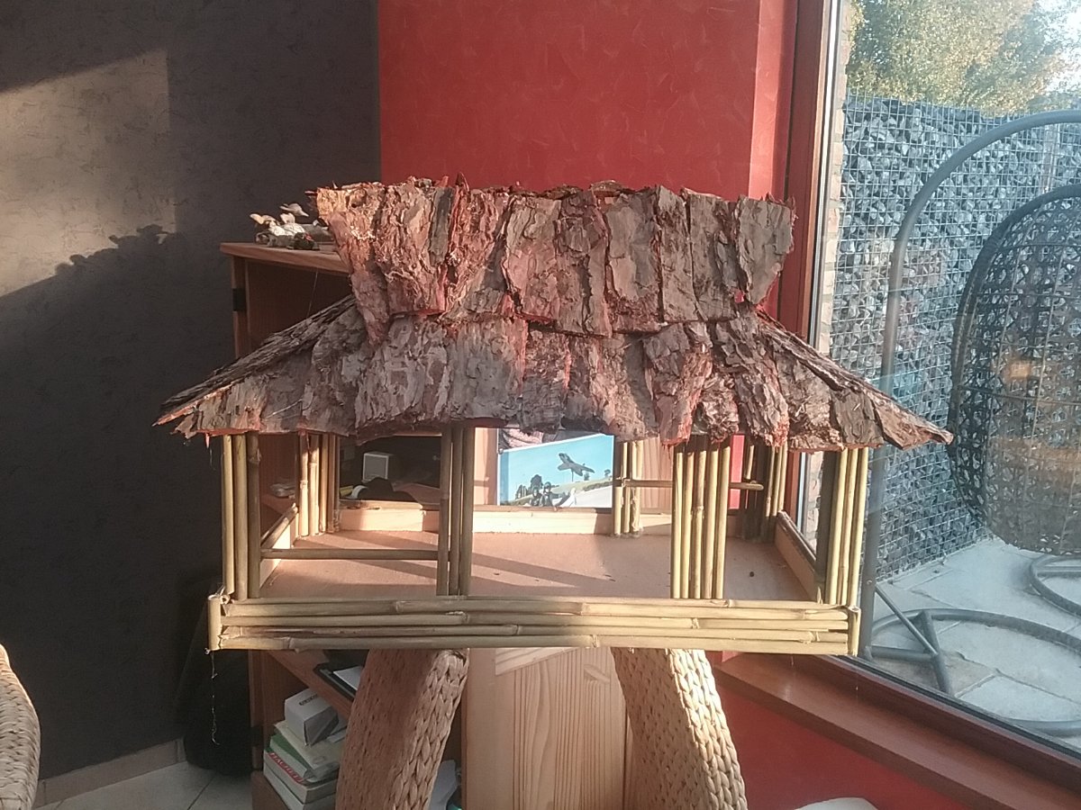 20171102_084314.jpg