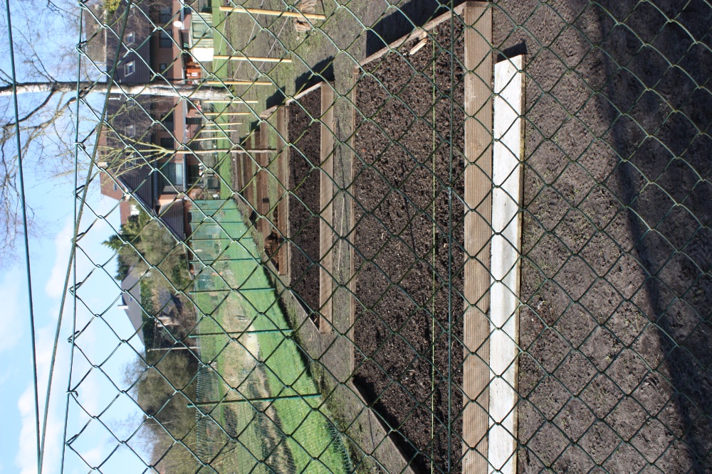 IMG_0102.JPG