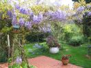 Filename=glycine2.JPG
Filesize=140KB
Dimensions=800x600
Date added=May 05, 2006 glycine2.JPG
