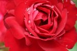 HC-Photo 128.jpg