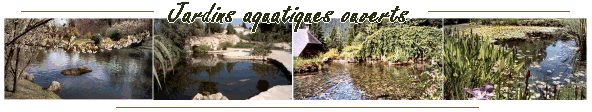 Jardins aquatiques ouverts