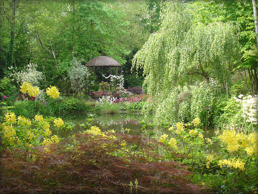 http://www.jardinature.net/images/Jardin_petit_bordeaux_00.jpg