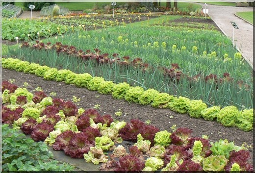 Créer un potager : généralités, emplacement, organisation des ... Amenagement jardin 100m2