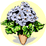 Sites web sur l'Art floral