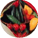 Sites web sur la culture biologique mais aussi l'horticulture et l'arboriculture