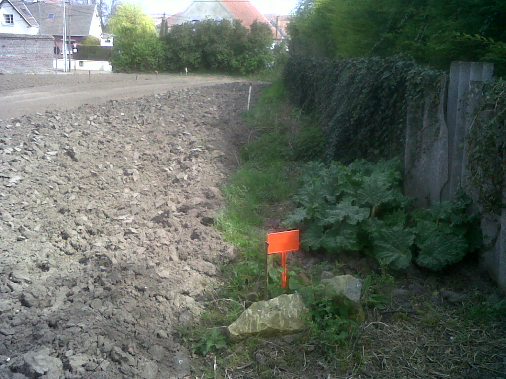 IMG01869-20170405-1414.jpg