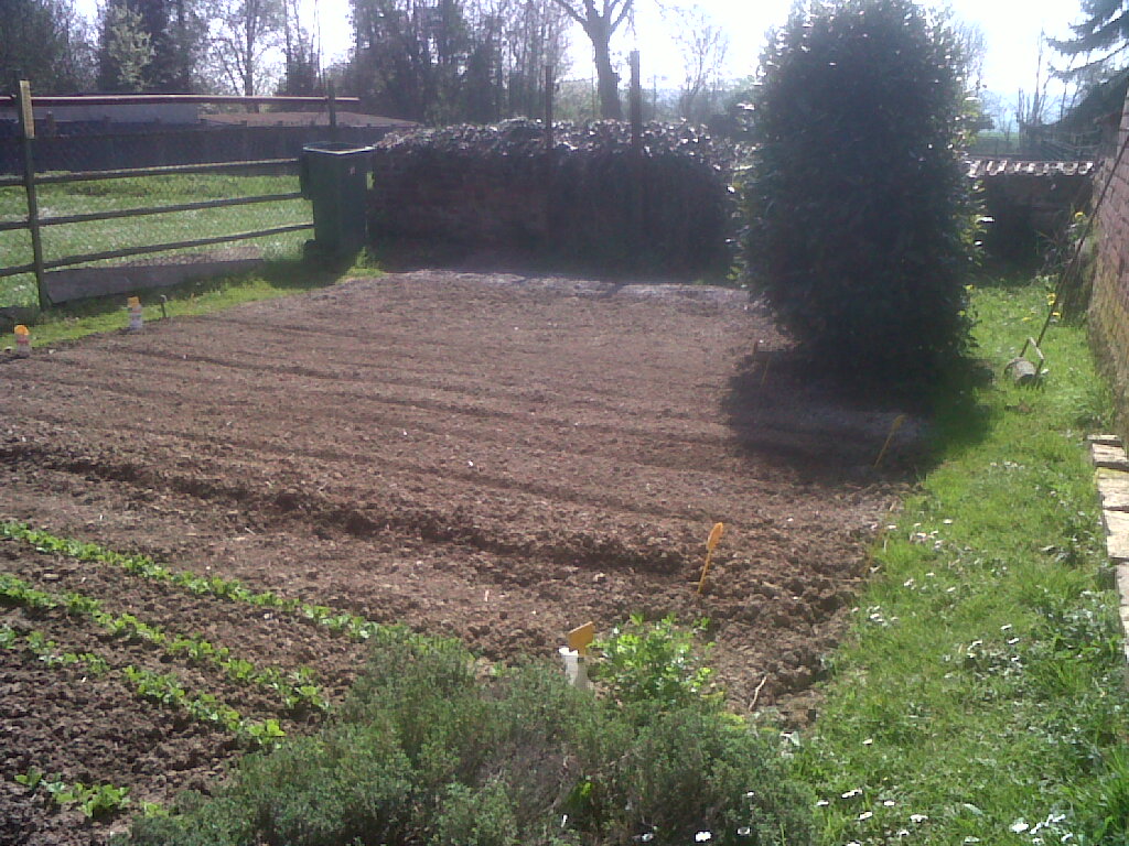IMG01880-20170408-1256.jpg