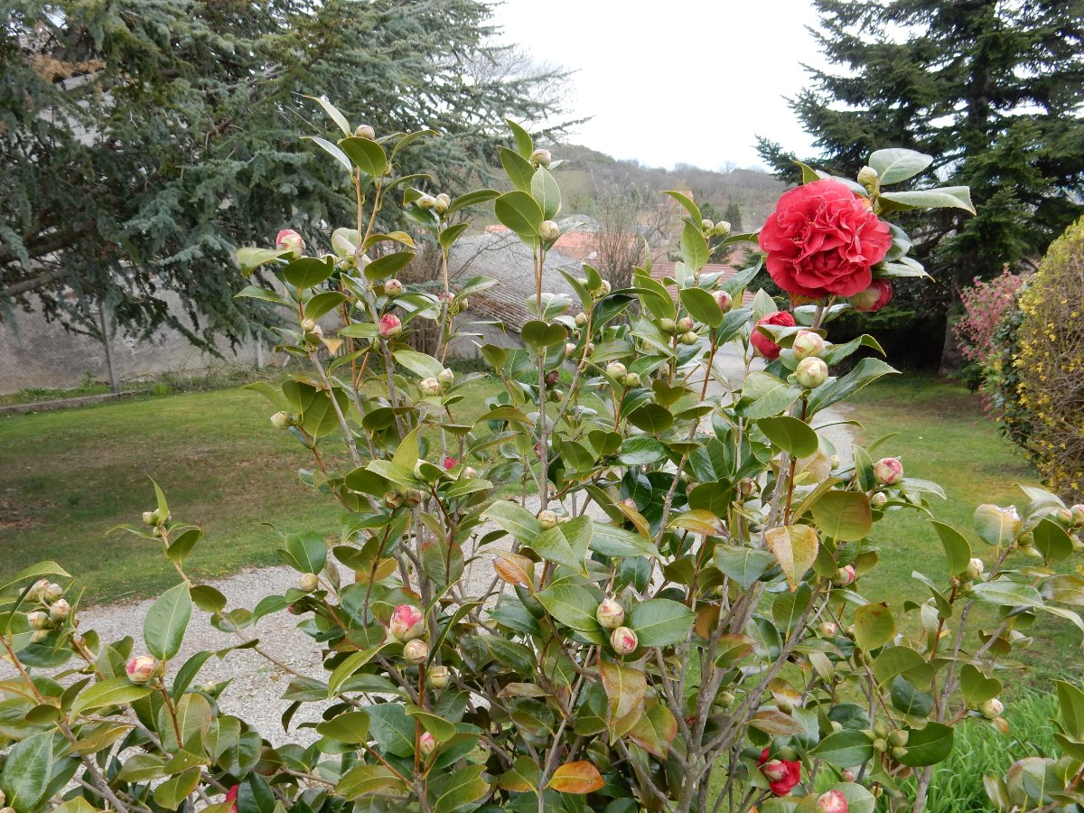 DSCN9132.JPG