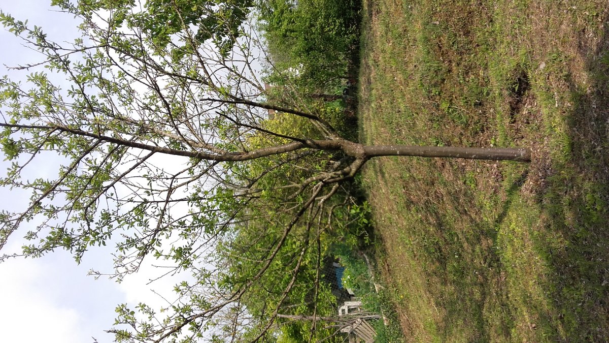 20190501_164241.jpg