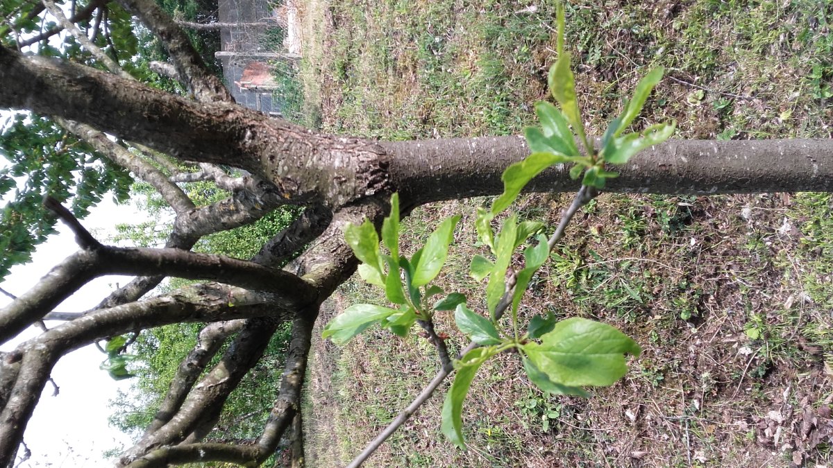 20190501_164301.jpg