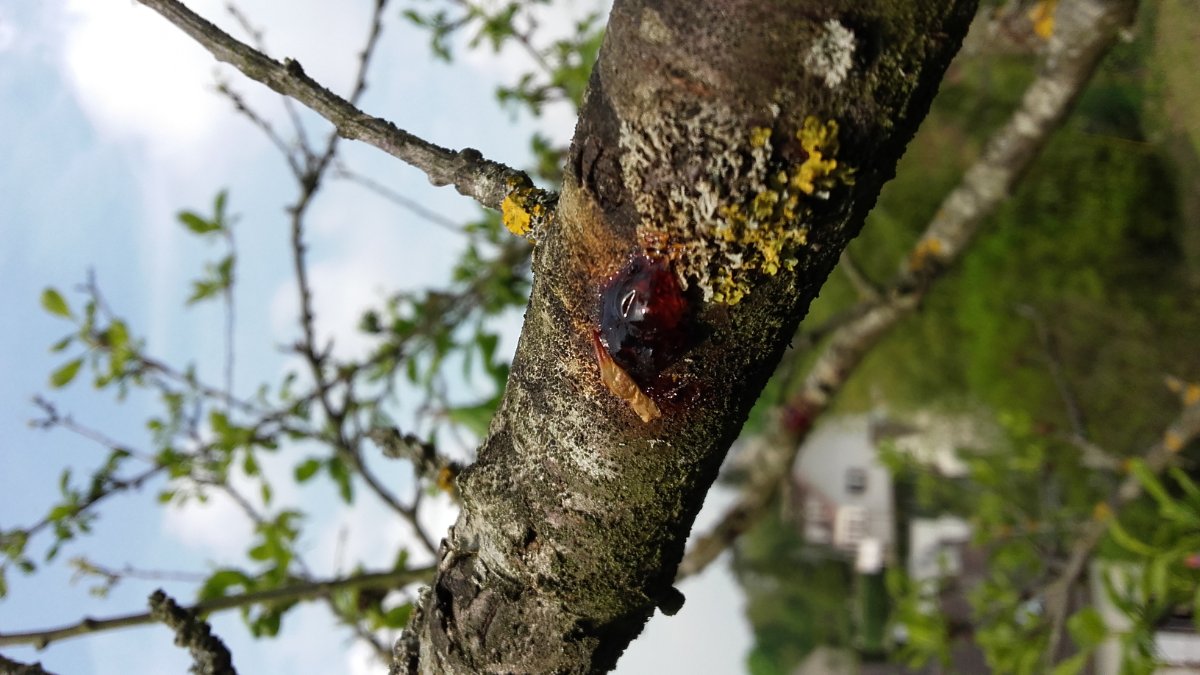 20190501_164336.jpg