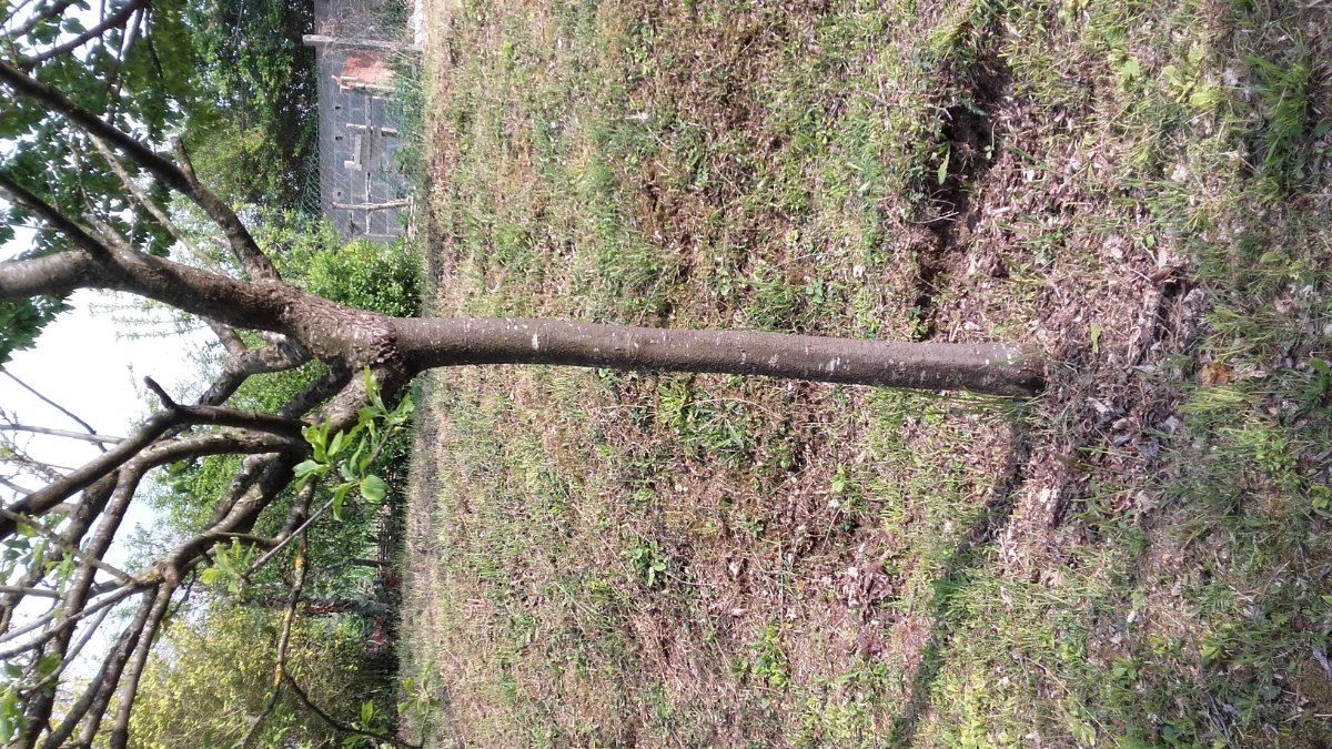 20190501_164645.jpg