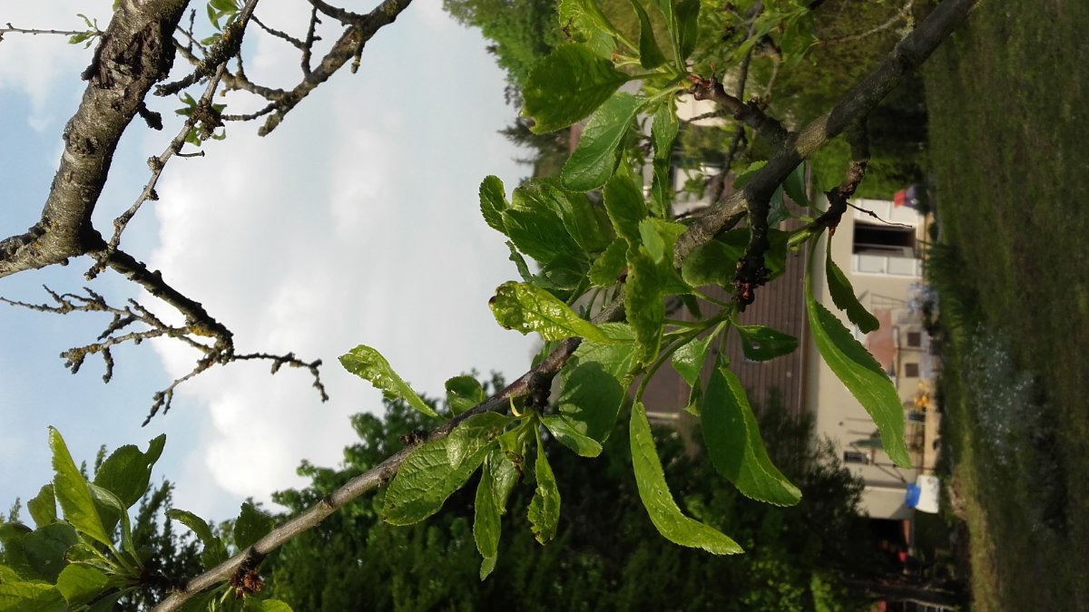 20190501_164836.jpg