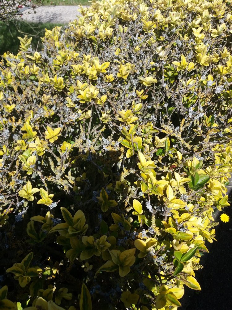 photo2.jpg