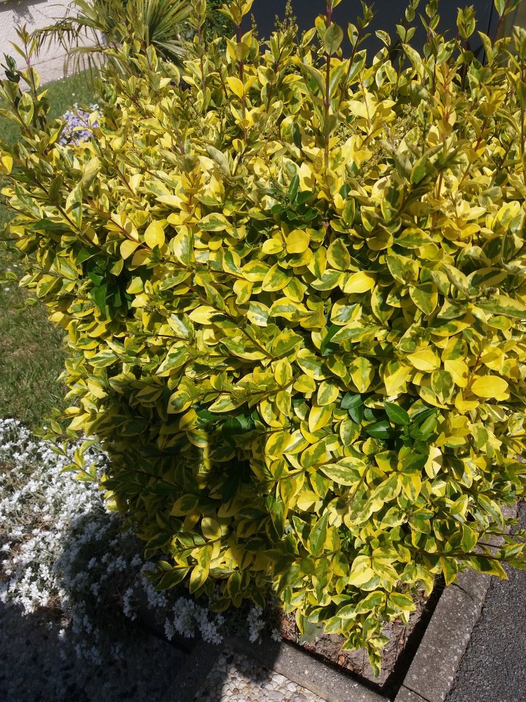 photo1.jpg