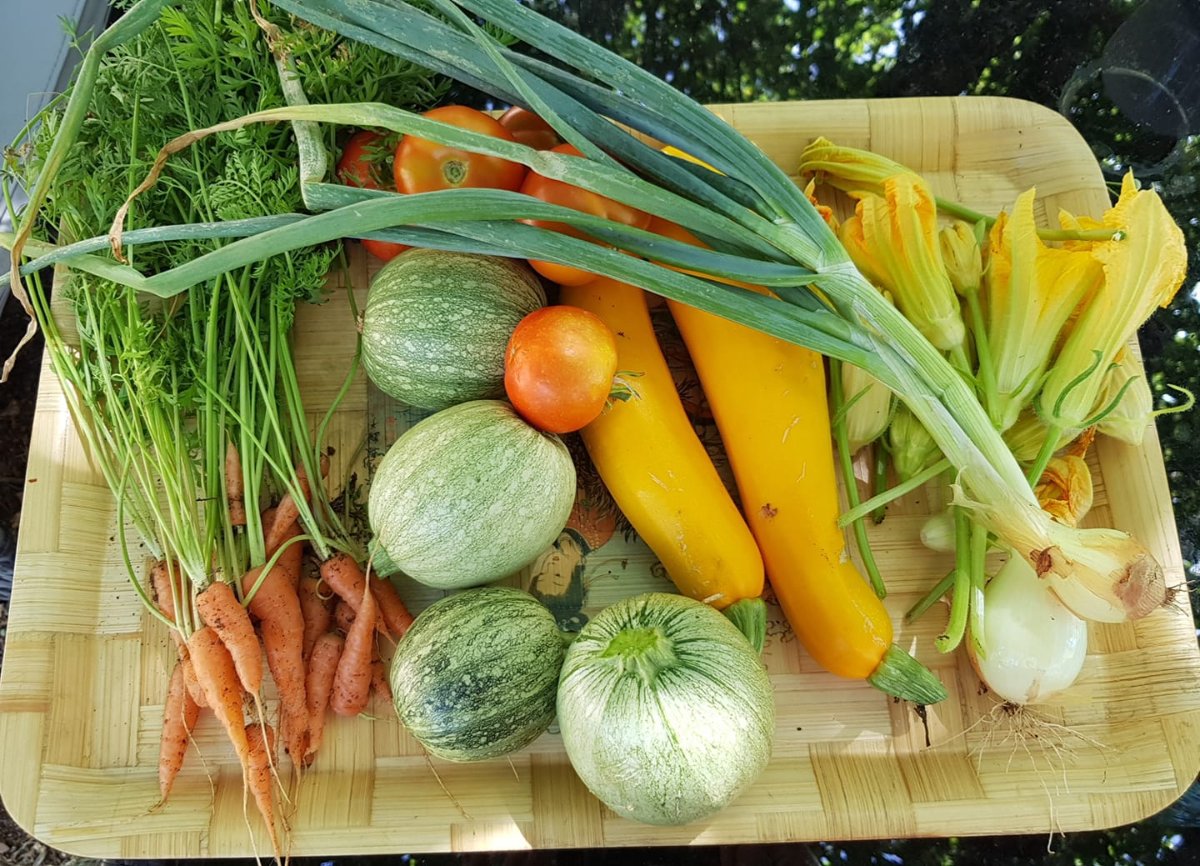 Potager148.jpg