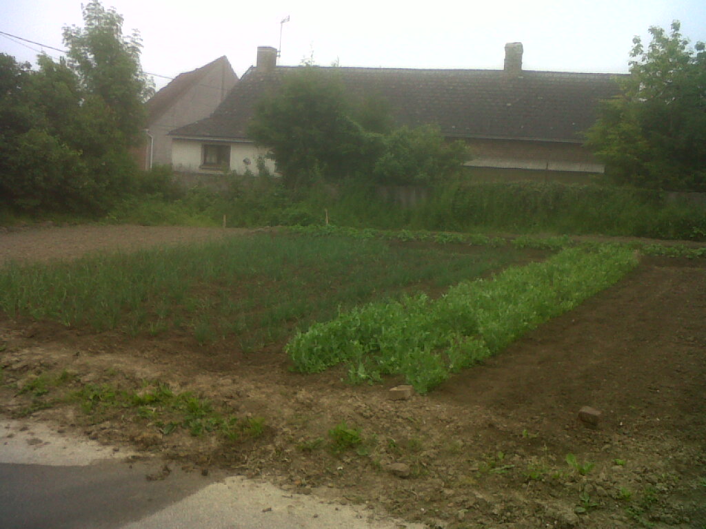 IMG02076-20170524-0702.jpg