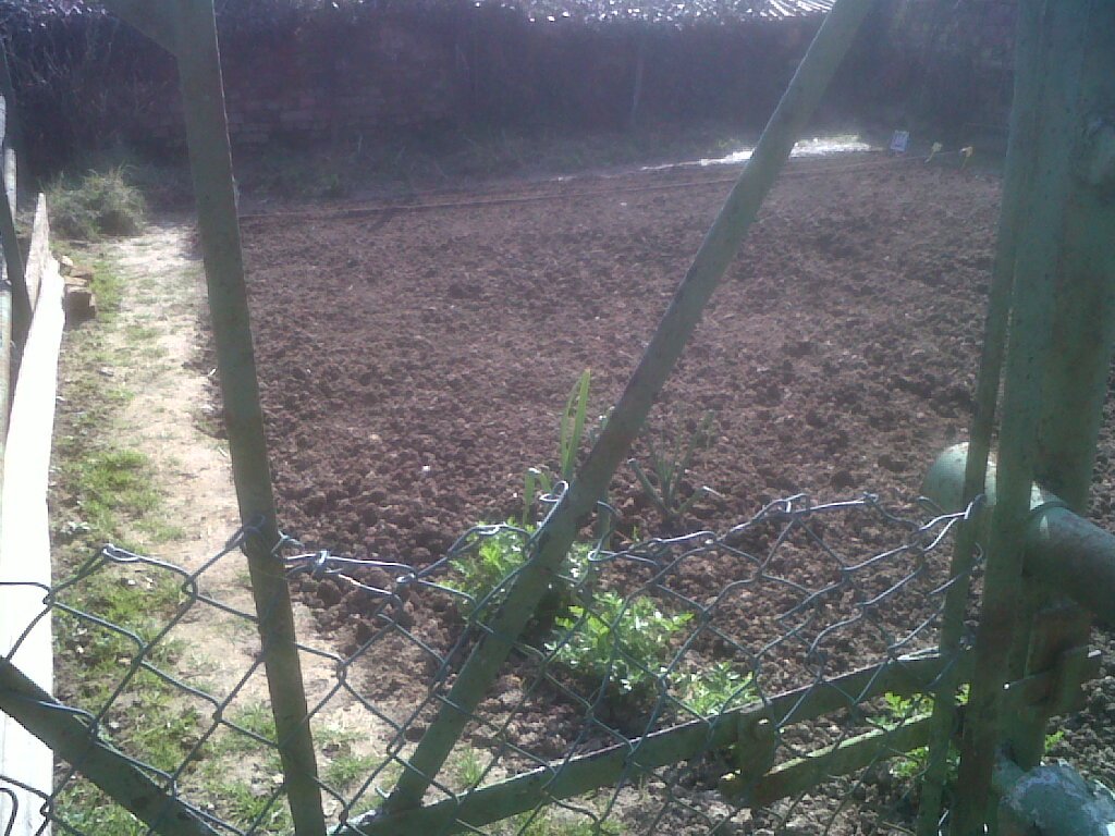 IMG04947-20200319-1437.jpg