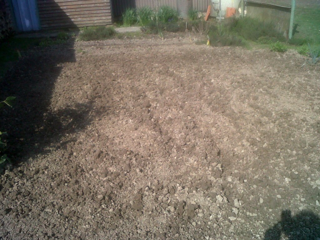IMG04945-20200319-1436.jpg