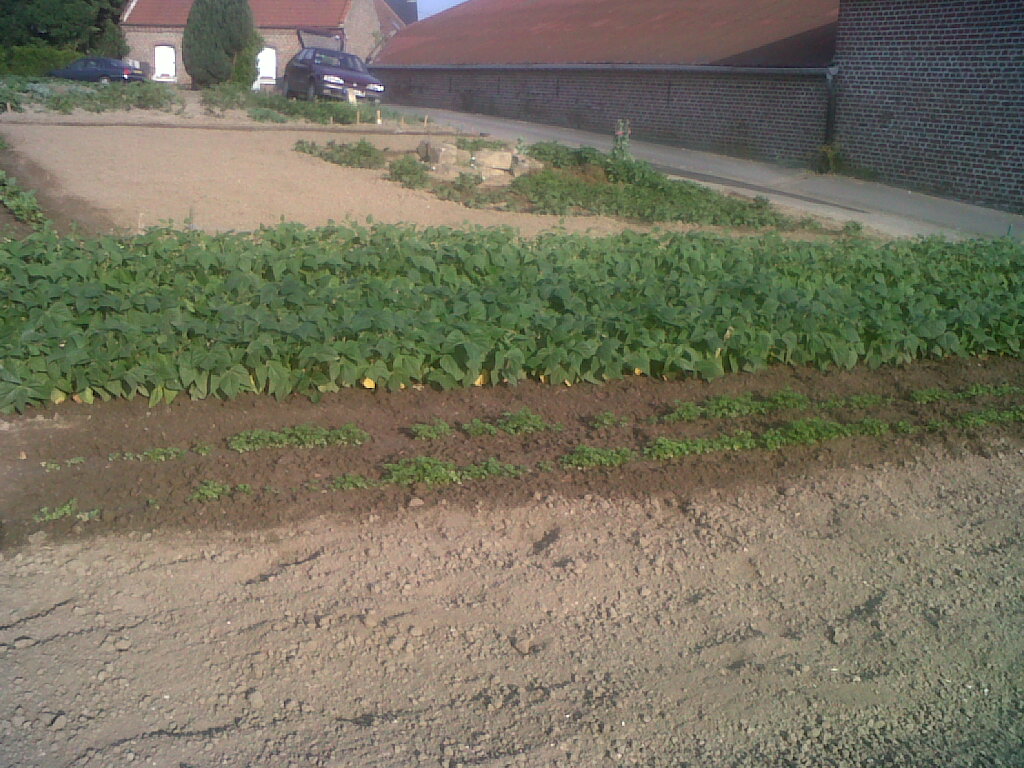 IMG02226-20170622-0811.jpg