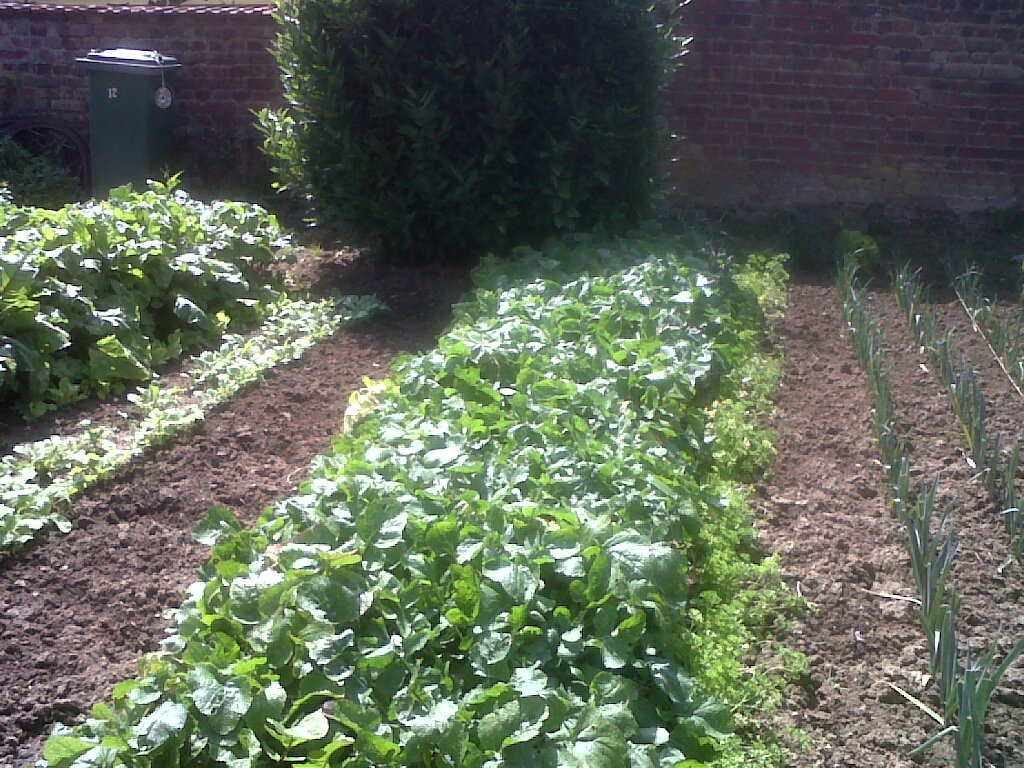 IMG02279-20170703-1545.jpg