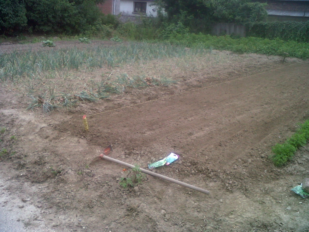 IMG02283-20170704-1006.jpg