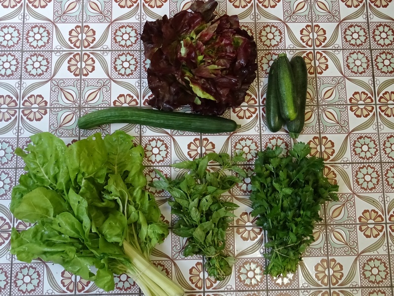 Potager14.jpg