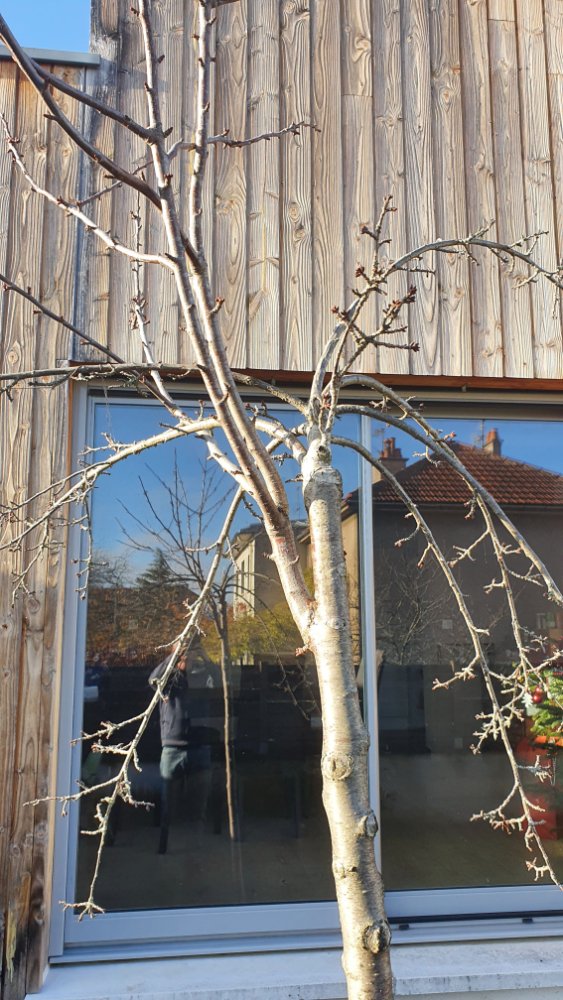 20201213_110057.jpg