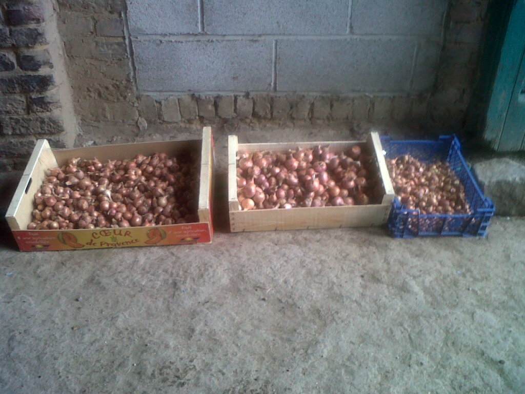 IMG02324-20170710-1600.jpg