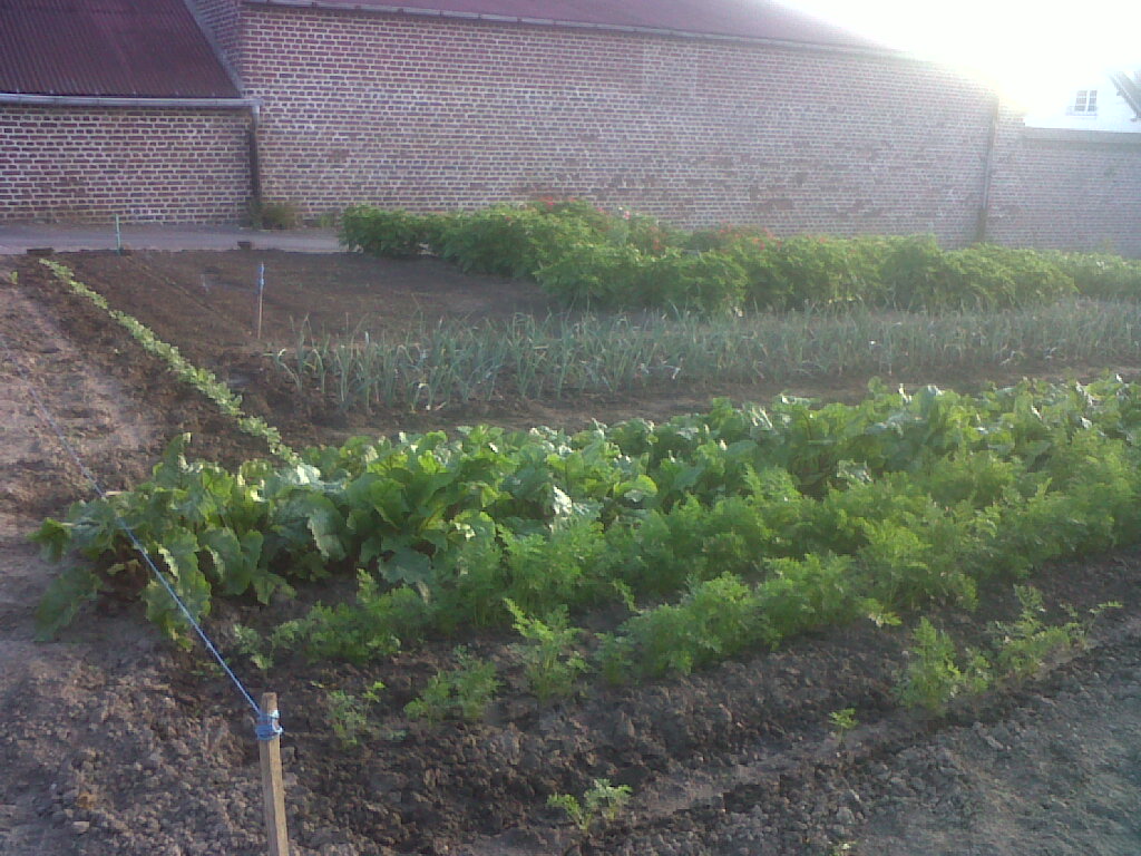IMG02349-20170714-0738.jpg