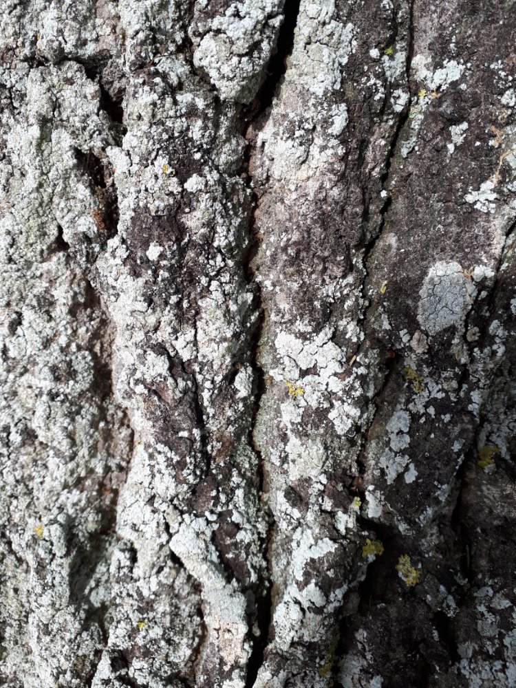 20210806_093736.jpg