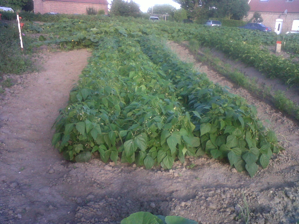 IMG02344-20170714-0736.jpg