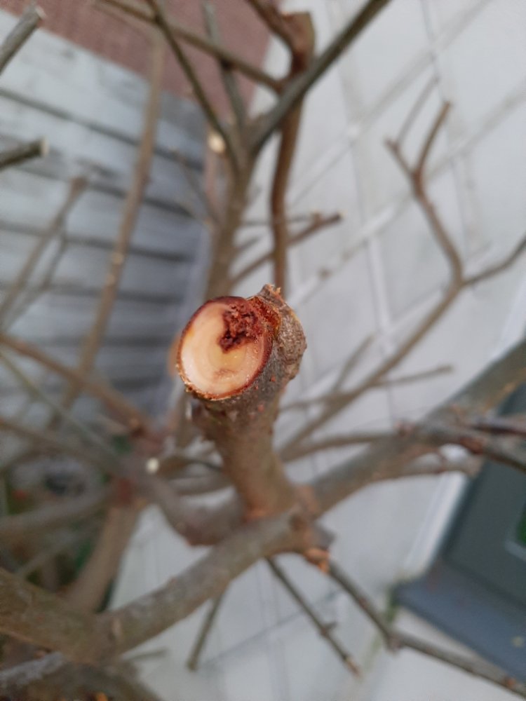 20211110_171709.jpg