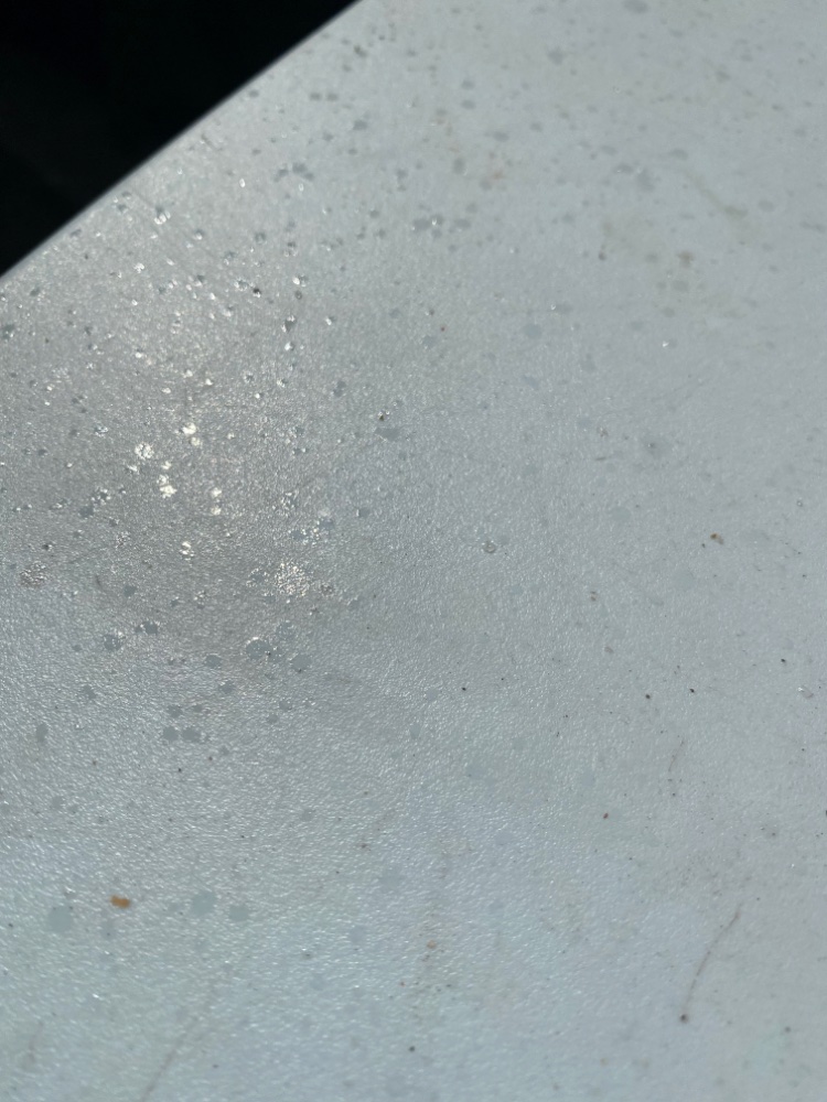23D724B4-0229-48EA-9441-38D560F1E905.jpeg