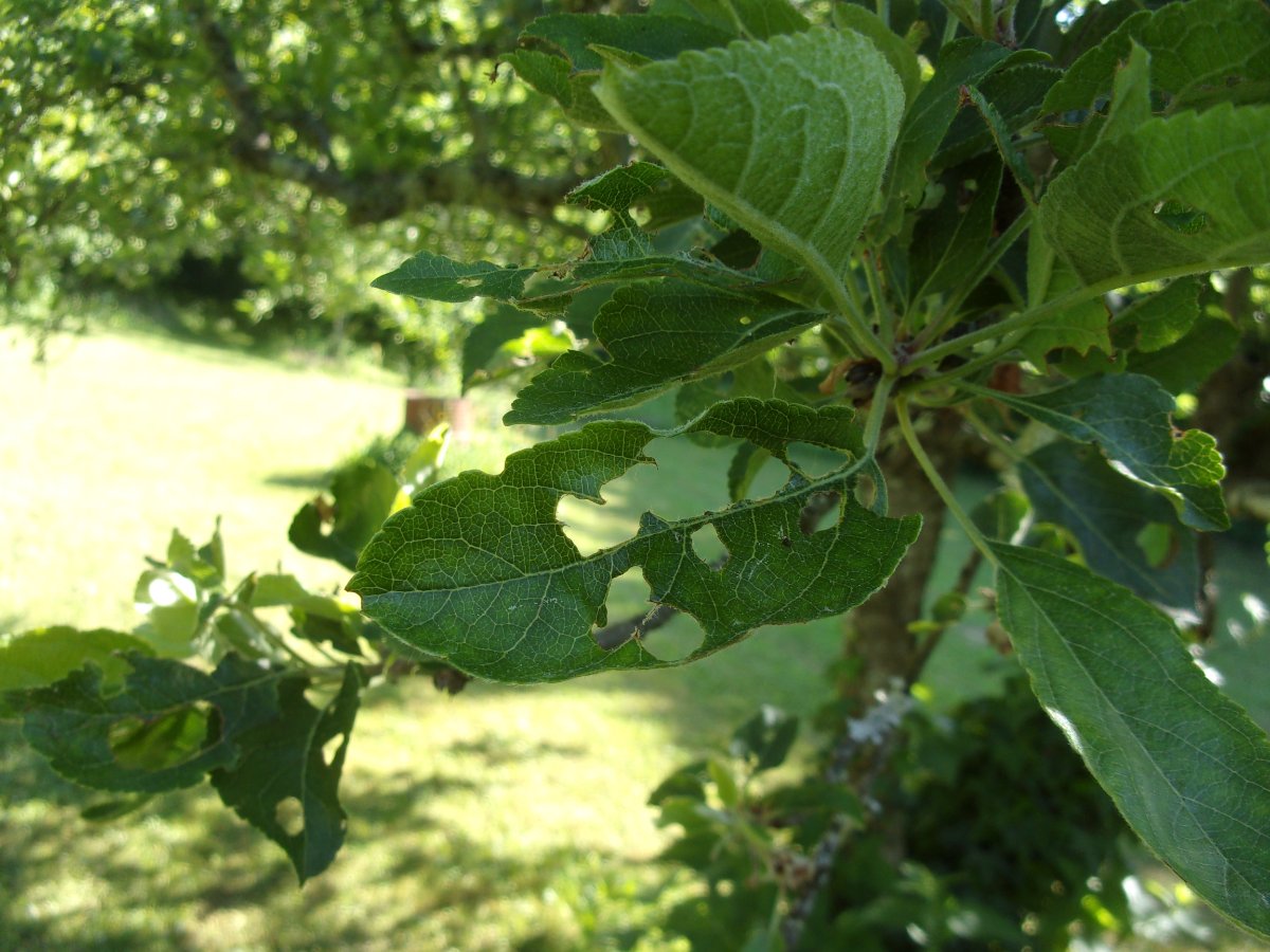 100_0401.JPG