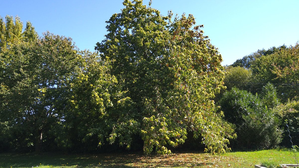 DSC_1624.jpg