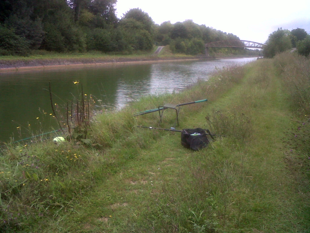 IMG02501-20170822-1336.jpg