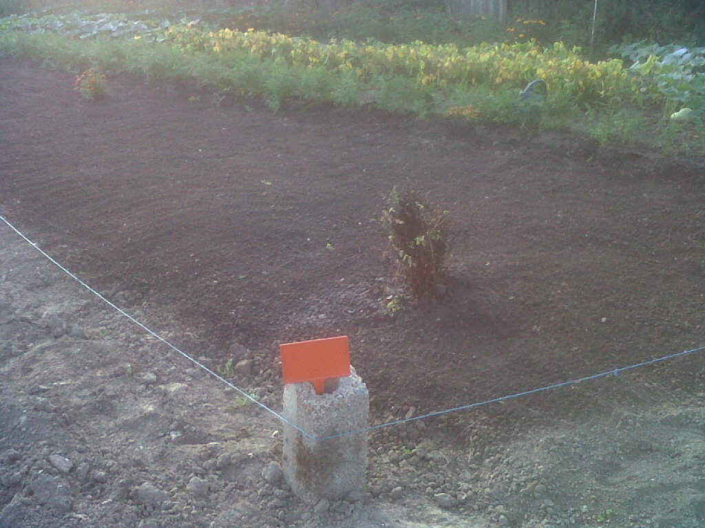 IMG02525-20170829-0840.jpg