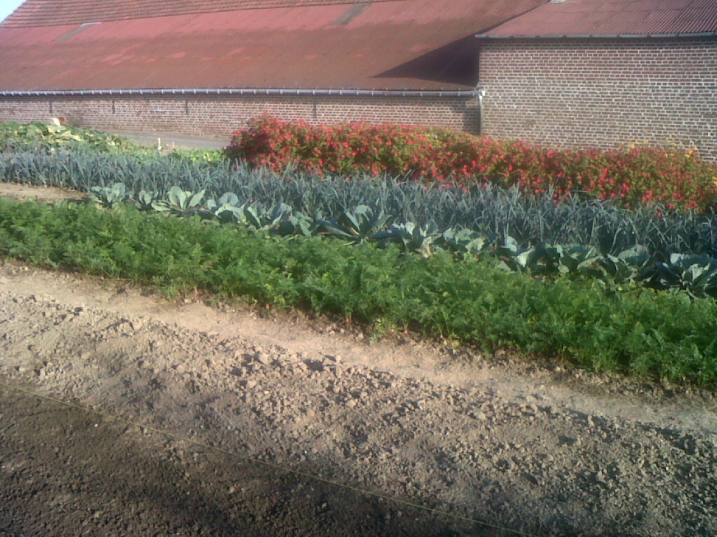 IMG02529-20170829-0842.jpg