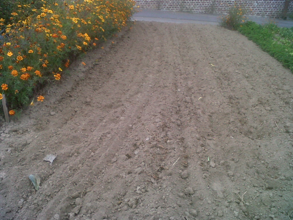 IMG02542-20170905-1529.jpg