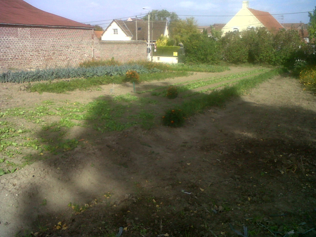 IMG02617-20171002-1549.jpg