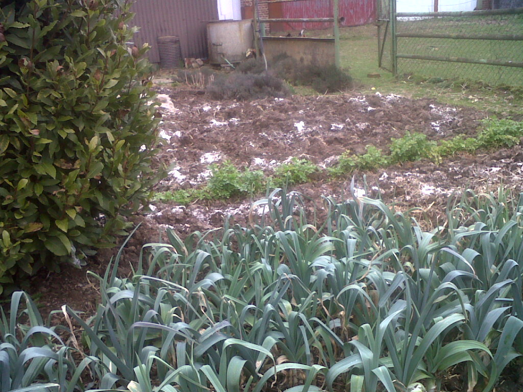 IMG01754-20170303-1343.jpg