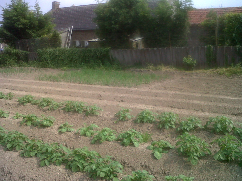IMG03035-20180523-1559.jpg