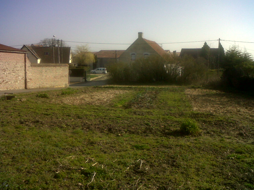 IMG01777-20170316-1045.jpg