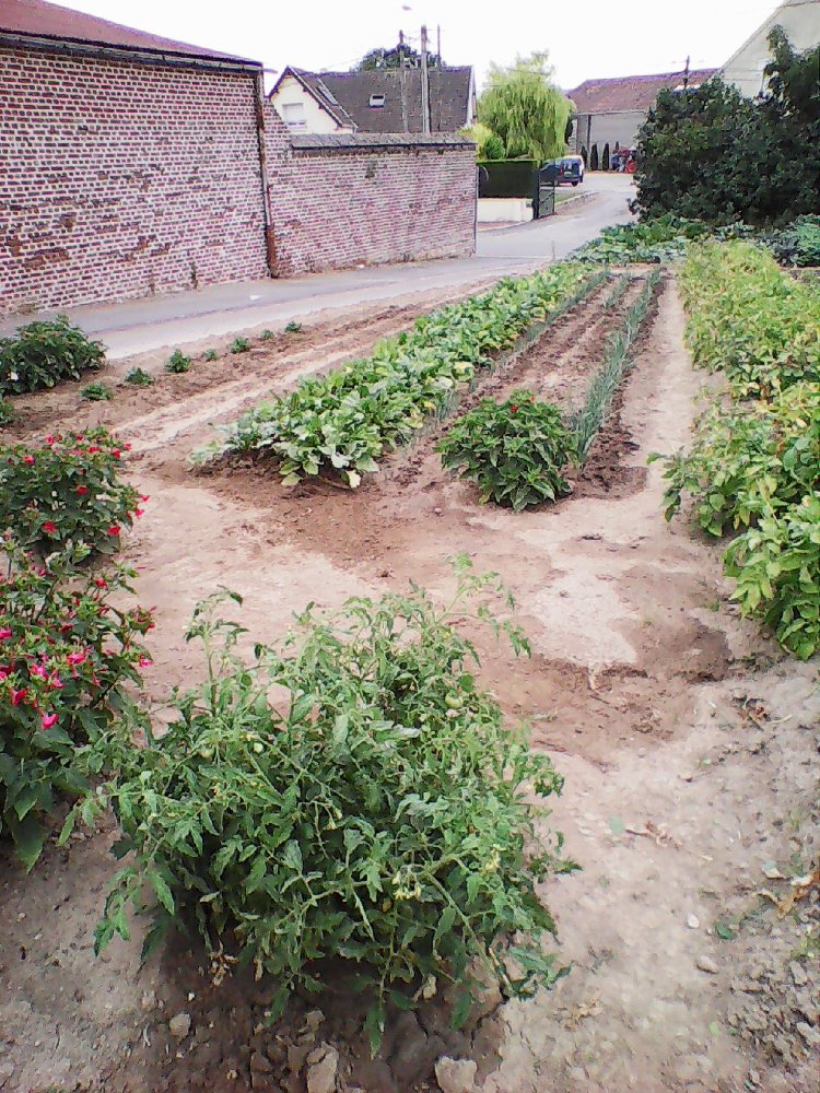 DSC_0000217.jpg
