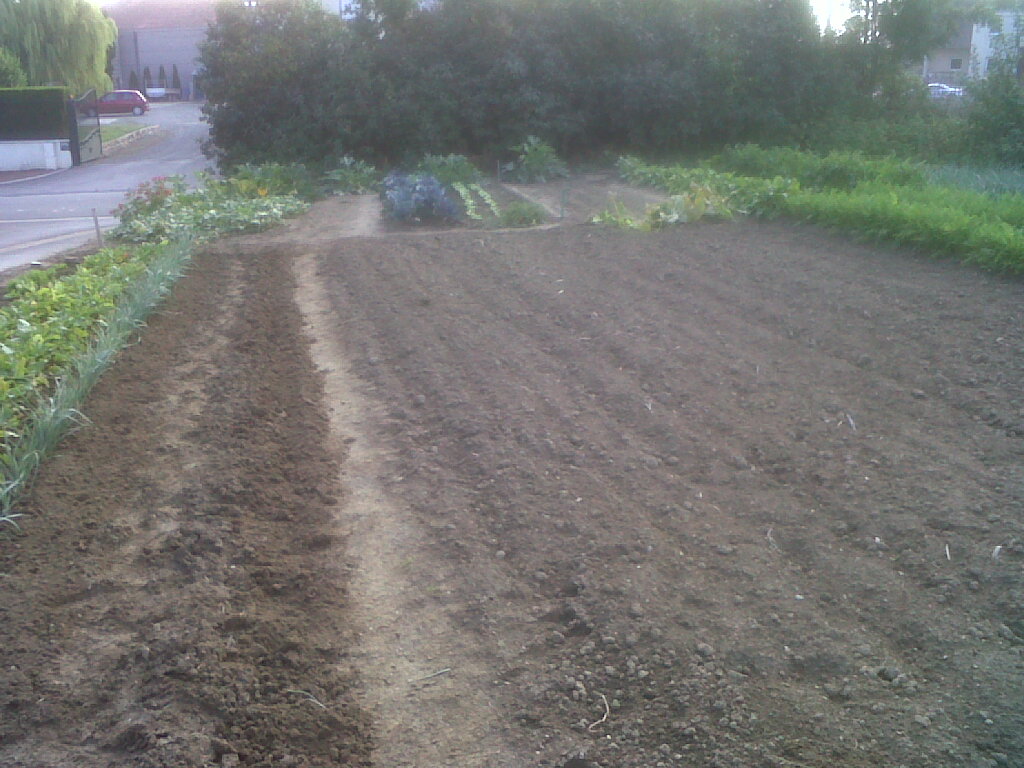 IMG03562-20180814-0935.jpg