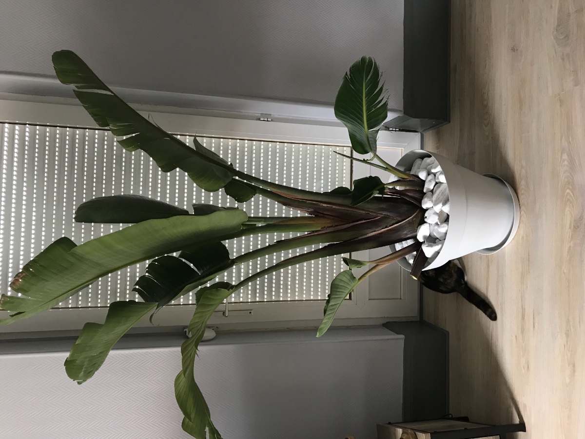 D88E35DA-AB27-486F-931E-C6EDE0D9D2AE.jpeg