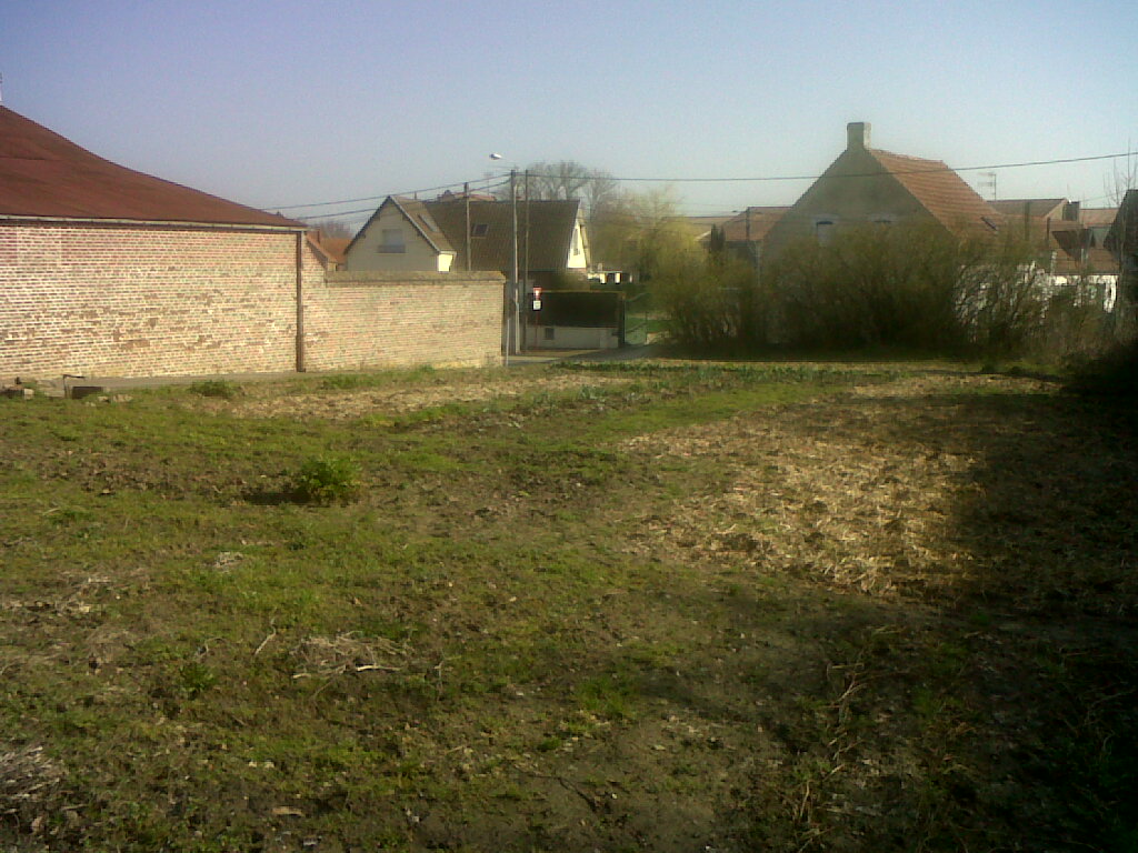 IMG01778-20170316-1045.jpg